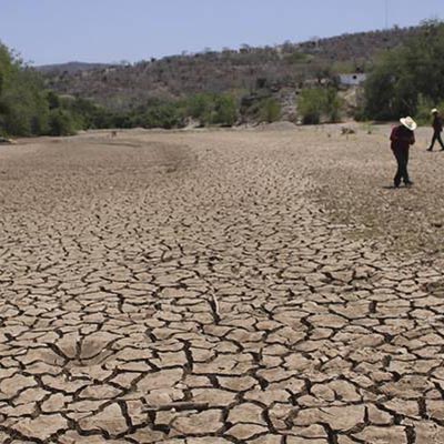 Sequía afecta a productores de nopal en Tlaxcalancingo, pega en cantidad y calidad