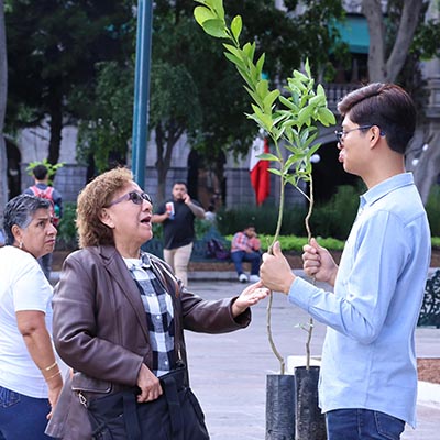 Continúa la reforestación en Puebla con “Sembremos Esperanza”