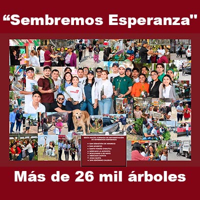 Cifra histórica, más de 26 mil árboles plantados “Sembremos Esperanza”