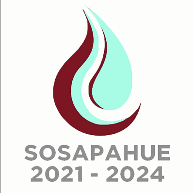 Posicionamiento del exdirector del SOSAPAHUE