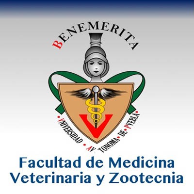 Informe de labores de la Facultad de Medicina Veterinaria y Zootecnia: BUAP