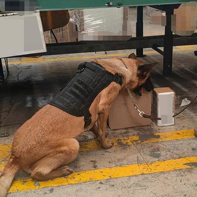 La Policía de la Ciudad asegura narcótico en empresa de paquetería