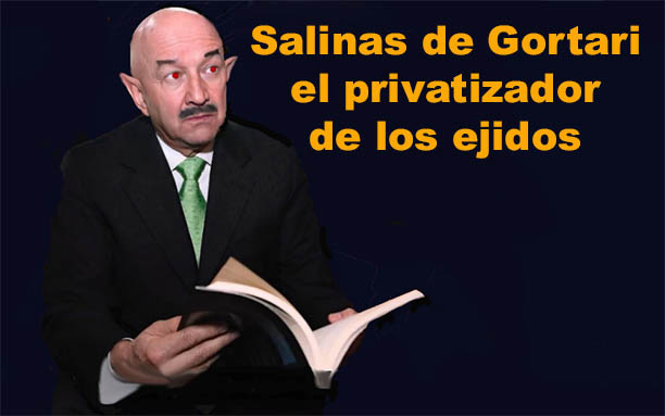 En manos de sólo 36 personas, 40 mil hectáreas de ejidos