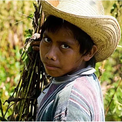 En pobreza, dos de cada tres hablantes de lenguas indígenas