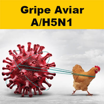 Detectan en México el primer caso humano de gripe aviar A/H5N1