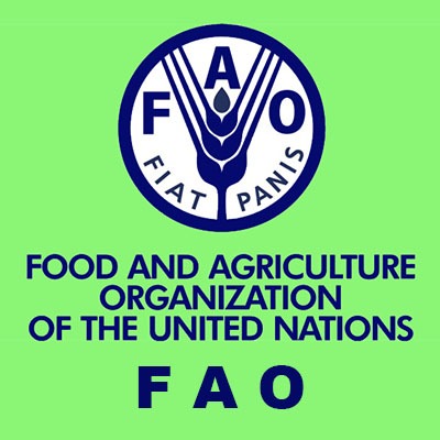 Destruyen plagas y enfermedades vegetales hasta 40% de cultivos mundiales: FAO