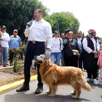 Gobierno federal y estatal impulsarán campaña de protección de animales
