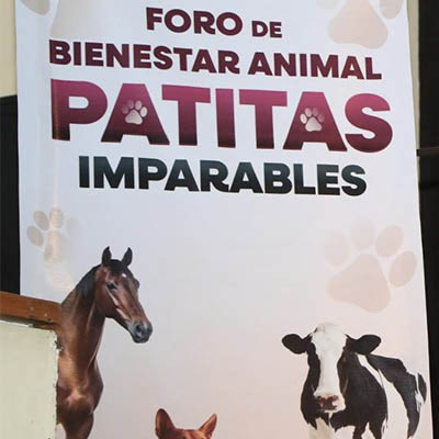 Por el bienestar animal el Gobierno de la Ciudad realizó el foro participativo “Patitas Imparables”