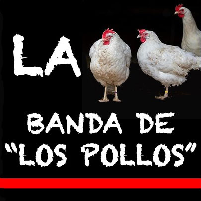 En temporada de auditorias, convendría hacerle una a la “Banda de los Pollos”