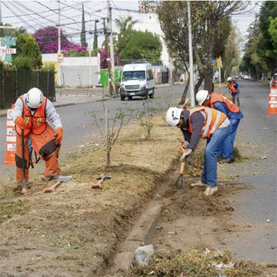 Faenas comunitarias: una expresión de gobernabilidad y amor por Puebla
