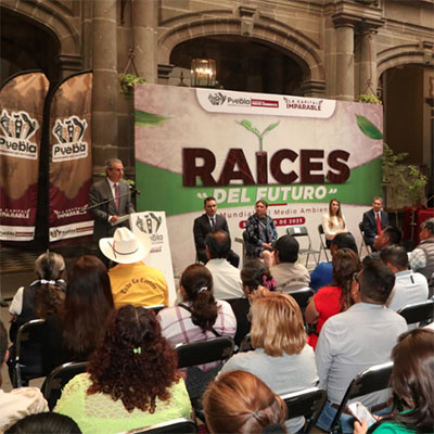 Gobierno de la Ciudad: “Raíces del Futuro” reforestando y reverdeciendo el municipio