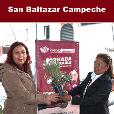 Gobierno de la Ciudad lleva servicios ciudadanos a San Baltazar Campeche