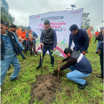 Gobierno de la Ciudad refuerza acciones ambientales con jornadas de plantación de árboles