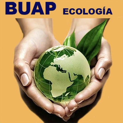 En la BUAP se buscan soluciones de fondo para la contaminación por plásticos