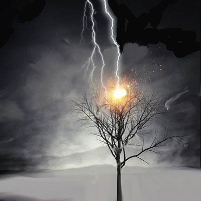 Mueren 320 millones de árboles en el mundo cada año por caída de rayos