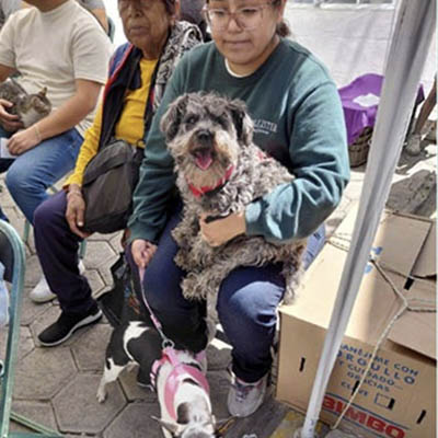 Acerca Gobierno de la Ciudad servicios de bienestar animal a colonias del municipio