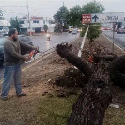 Atiende Gobierno de la Ciudad reportes en distintas zonas por lluvias