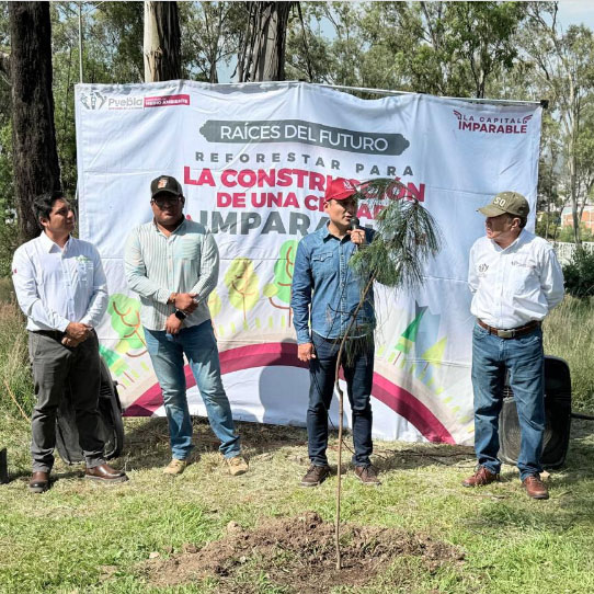 Gobierno de la Ciudad planta 520 árboles para fortalecer nuestras áreas verdes
