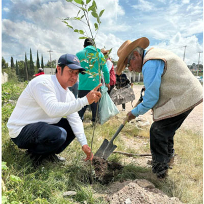 Consolida Gobierno de la Ciudad reforestación con más de 1,200 árboles en la capital a través de Raíces del Futuro