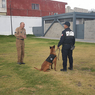 Unidad Canina K9 recibe certificación internacional