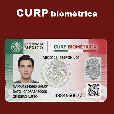 CURP biométrica alcanza los 27 millones de registros, informa Renapo