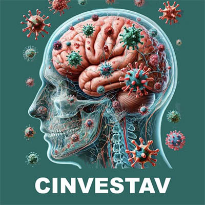 El cerebro dulce en la enfermedad de Alzheimer