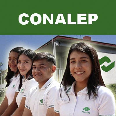 Con talento y compromiso social, la juventud mexicana fortalece la transformación del país: SEP