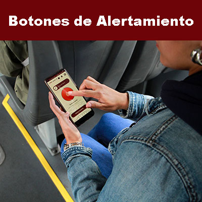 Detienen a presuntos carteristas en transporte RUTA con intervención oportuna