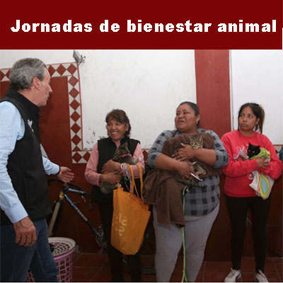 Realiza Gobierno de la Ciudad acciones en favor del bienestar animal en la capital