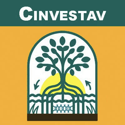 Desarrolla Cinvestav nueva metodología para identificar origen de la vainilla