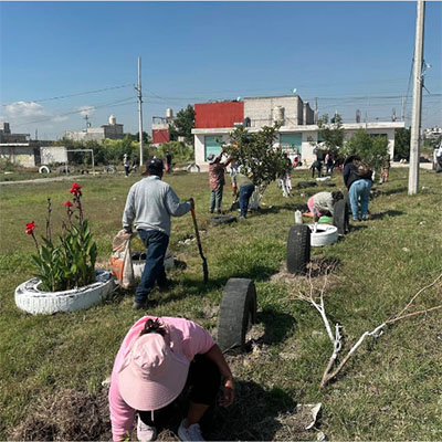 Gobierno de la Ciudad con “Raíces del Futuro” en octubre sembró 2,600 árboles