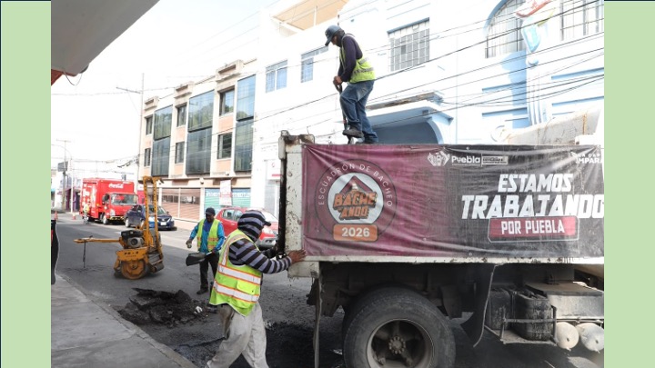Gobierno de Pepe Chedraui impulsa movilidad segura con bacheo en la colonia El Carmen