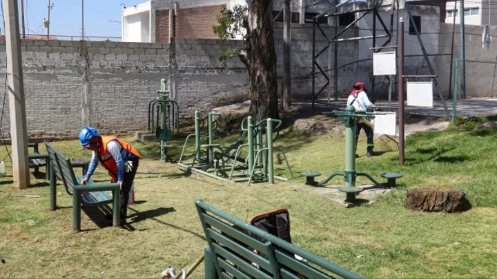 Mantiene Pepe Chedraui poda y chapeo en parques y áreas verdes