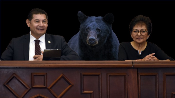 ¿Quién levanta el muro entre Armenta y Cedillo?, se habla de un grupo “tenebrOSO”, el mismo que operó el megaparo del 2025
