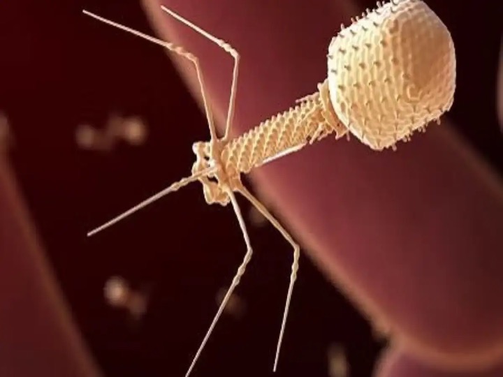 Laboratorio afirma haber inyectado por primera un virus diseñado con IA a un humano